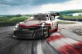 playm70764-2.jpg