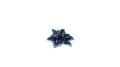 gamers-grass-laser-plants-alien-rosette-kosmiczna-rozeta-zawartosc.jpg