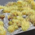 marshland-set.jpg