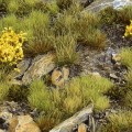 highland-tuft-set (2).jpg