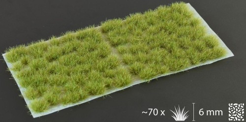 Gamers-grass-dry-green-tufts-wild-6mm-arkusz.jpg