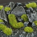 2mm-moss-tufts99.jpg
