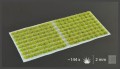 2mm-moss-tufts.jpg