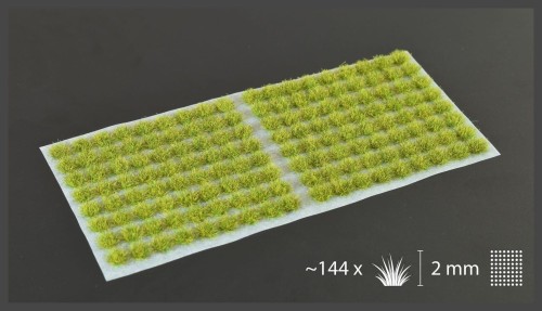 2mm-moss-tufts.jpg