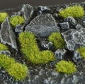 2mm-moss-tuftsg.jpg
