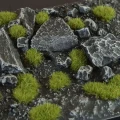 Gamers-grass-dry-green-tufts-wild-2mm.jpg