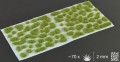 Gamers-grass-dry-green-tufts-wild-2mm-arkusz.jpg