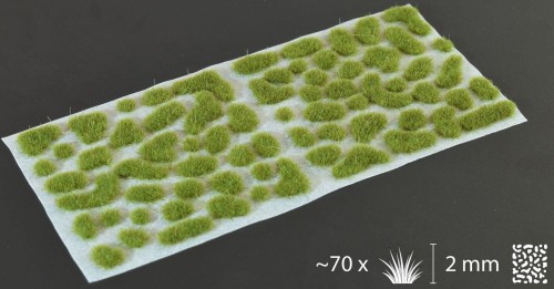 Gamers-grass-dry-green-tufts-wild-2mm-arkusz.jpg