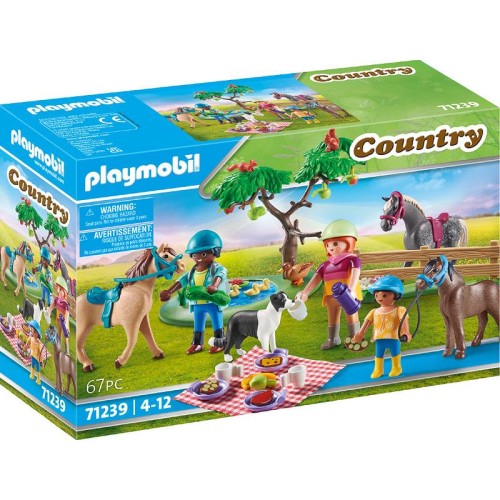 big_Playmobil-71239-01.jpg