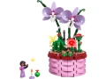 43237.webp