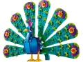31157.webp