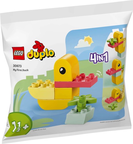 lego-30673.jpg