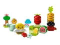 10984.webp