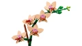10343_WEB_SEC01_NOBG.webp
