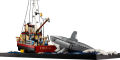 21350_Top_01.png
