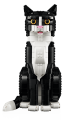 21349_WEB_SEC01.png