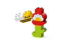 10444_WEB_SEC01_NOBG.png