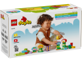 10444_Box5_v39.png