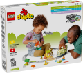 10427_Box5_v39.png