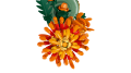 10368_WEB_SEC02_NOBG.png