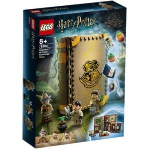 LEGO Harrry Potter 76384 Hogwart: zajęcia z zielarstwa